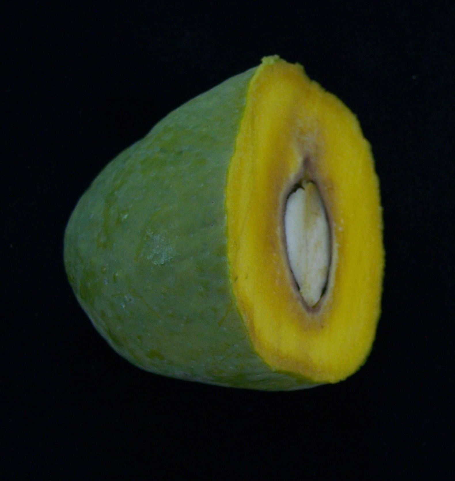 Khas-ul-khas
